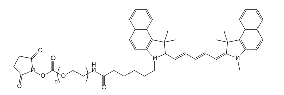 Cy5.5-PEG-SC；花青素Cy5.5-聚乙二醇-琥珀酰亚胺碳酸酯