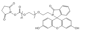 FITC-PEG-SC；FITC-PEG-NHS；荧光素-聚乙二醇-琥珀酰亚胺碳酸酯