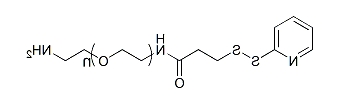 OPSS-PEG-NH2；PDP-PEG-NH2；邻吡啶基二硫化物-聚乙二醇-氨基
