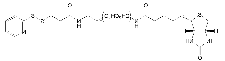 OPSS-PEG-Biotin；PDP-PEG-Biotin；邻吡啶基二硫化物-聚乙二醇-生物素