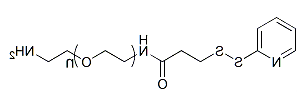 OPSS-PEG-NH2；邻吡啶基二硫化物-聚乙二醇-氨基；Ortho-Pyridyldisulfide-PEG-Amine
