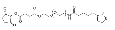 LA-PEG-SS；Lipoamido-PEG-Succinimidyl Succinate ester