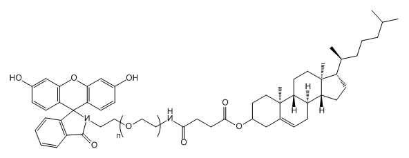 CLS-PEG-FITC；Cholesterol-PEG-Fluorescein；胆固醇-聚乙二醇-荧光素