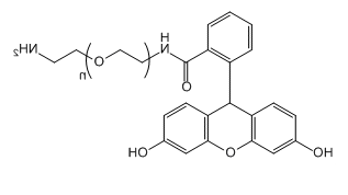 NH2-PEG-FAM，Amine-PEG-FAM应用于医学研究