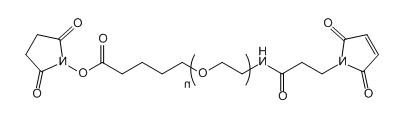 Mal-PEG-SVA;马来酰亚胺-聚乙二醇-琥珀酰亚胺戊酸酯;Maleimide-PEG-Succinimidyl valerate Mal-PEG-SVA;马来酰亚胺-聚乙二醇-琥珀酰亚胺戊酸酯;Maleimide-PEG-Succinimidyl valerate