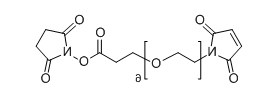 CAS No.：  1599472-25-9；Mal-PEG6-NHS