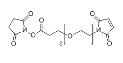 CAS No.：  1537892-36-6；Mal-PEG3-NHS的基本信息