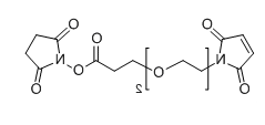 Mal-PEG2-NHS；1433997-01-3；马来酰亚胺-二聚乙二醇-琥珀酰亚胺酯