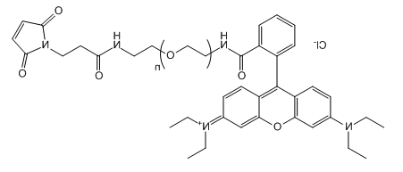 RB-PEG-Mal；罗丹明B-聚乙二醇-马来酰亚胺；Rhodamine B-PEG-Maleimide