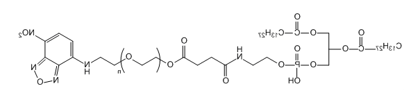 DMPE-PEG-NBD；1,2-十四酰基磷脂酰乙醇胺-聚乙二醇-硝基苯恶二唑