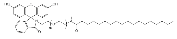 STA-PEG-FITC；单硬脂酸-聚乙二醇-荧光素；Monostearate-PEG-FITC
