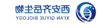 纳米团簇
