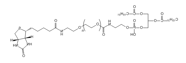 DPPE-PEG-BIOTIN；二棕榈酰磷酯酰乙醇胺-聚乙二醇-生物素