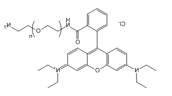 RB-PEG-N3；罗丹明B-聚乙二醇-叠氮基；应用于医学研究