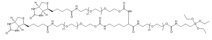 3-ArmPEG-(1Silane-2Biotin)应用于医学研究