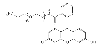 NH2-PEG-FAM；Amine-PEG-FAM应用于医学研究