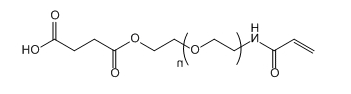 ACA-PEG-SA；Acrylamide -PEG-Succinic Acid；丙烯酰胺-聚乙二醇-丁二酸
