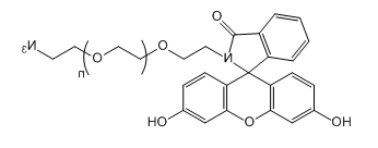 FITC-PEG-N3；荧光素-聚乙二醇-叠氮基；FITC-PEG-Azide