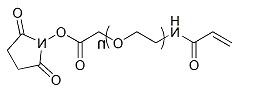ACA-PEG-SCM；α-丙烯酰胺-ω-琥珀酰亚胺碳酸酯基聚乙二醇