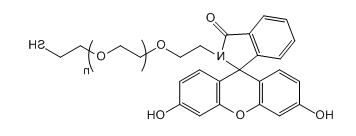 FITC-PEG-SH；荧光素-聚乙二醇-巯基；Fluorescein-PEG-Thiol