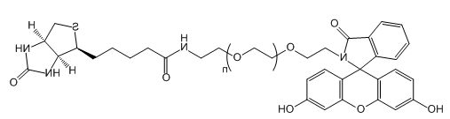 FITC-PEG-Biotin；荧光素-聚乙二醇-生物素；Fluorescein-PEG-Biotin