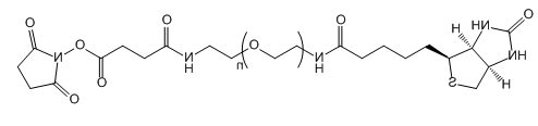 Biotin-PEG-SAS;生物素-聚乙二醇-琥珀酰胺琥珀酰亚胺酯 Biotin-PEG-SAS;生物素-聚乙二醇-琥珀酰胺琥珀酰亚胺酯