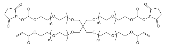 4-ArmPEG-(2AC-2NHS);4-ArmPEG-(2Acrylate-2NHS)