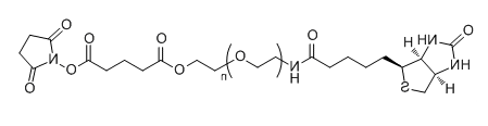 Biotin-PEG-SG；Biotin-PEG-Succinimidyl Glutarate ester的信息