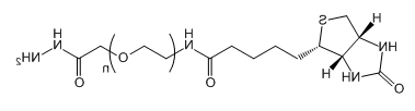 Biotin-PEG-HZ；生物素-聚乙二醇-酰肼；Biotin-PEG-Hydrazide