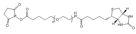 Biotin-PEG-SVA;生物素-聚乙二醇-琥珀酰亚胺戊酸酯的基本信息 Biotin-PEG-SVA;生物素-聚乙二醇-琥珀酰亚胺戊酸酯的基本信息