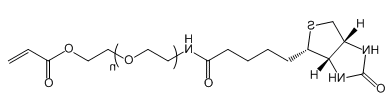 Biotin-PEG-AC；生物素-聚乙二醇-丙烯酸酯；Biotin-PEG-Acrylate