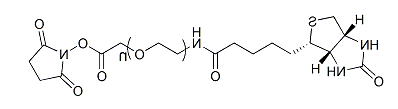 Biotin-PEG-SCM;生物素-聚乙二醇-琥珀酰亚胺羧甲基酯;Biotin-PEG-Succinimidyl Carboxymethyl Ester Biotin-PEG-SCM;生物素-聚乙二醇-琥珀酰亚胺羧甲基酯;Biotin-PEG-Succinimidyl Carboxymethyl Ester