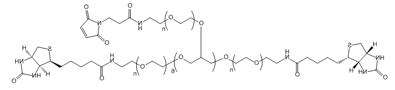 8-ArmPEG-(6Arm-Mal,2Arm-Biotin);八臂聚乙二醇—(六个马来酰亚胺,两个生物素);8-ArmPEG-(6Mal,2Biotin) 8-ArmPEG-(6Arm-Mal,2Arm-Biotin);八臂聚乙二醇—(六个马来酰亚胺,两个生物素);8-ArmPEG-(6Mal,2Biotin)