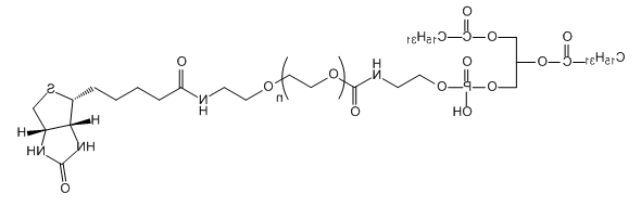 DPPE-PEG-BIOTIN;二棕榈酰磷酯酰乙醇胺-聚乙二醇-生物素 DPPE-PEG-BIOTIN;二棕榈酰磷酯酰乙醇胺-聚乙二醇-生物素