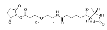 Biotin-PEG3-SPA；1253286-56-4；Biotin-PEG3-NHS