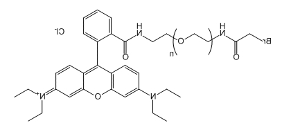 Br-CH2CO-NH-PEG-RB；溴乙酰胺-聚乙二醇-罗丹明B