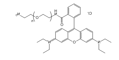 RB-PEG-N3；罗丹明B-聚乙二醇-叠氮基；应用于医学研究