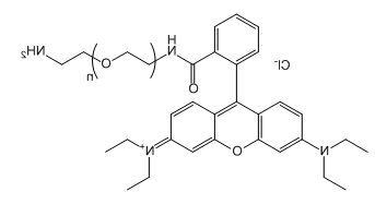 RB-PEG-NH2；Rhodamine B-PEG-Amine；罗丹明B-聚乙二醇-氨基