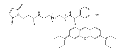 RB-PEG-Mal；Rhodamine B-PEG-Maleimide；罗丹明B-聚乙二醇-马来酰亚胺