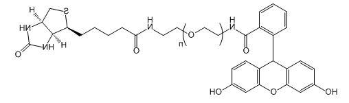 Biotin-PEG-FAM；生物素-聚乙二醇-FAM