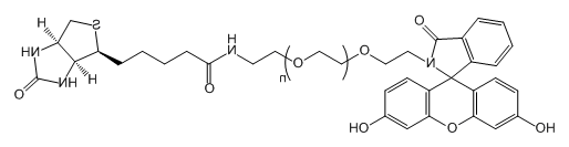 FITC-PEG-Biotin；荧光素-聚乙二醇-生物素；Fluorescein-PEG-Biotin