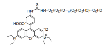 甲氧基聚乙二醇罗丹明 mPEG-Rhodamine B