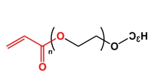 mPEG-AC；甲氧基聚乙二醇丙烯酸酯；mPEG-Acrylate mPEG-AC 