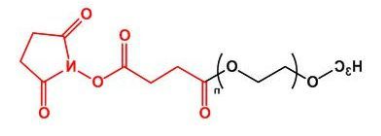 mPEG-SS；甲氧基聚乙二醇琥珀酰亚胺丁二酸酯；mPEG-Succinimidyl Succinate ester