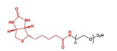 mPEG-Biotin；mPEG-BN；甲氧基聚乙二醇生物素 