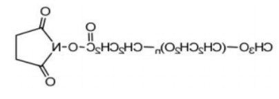 mPEG-SPA；甲氧基聚乙二醇琥珀酰亚胺丙酸酯；mPEG-Succinimidyl Propionate