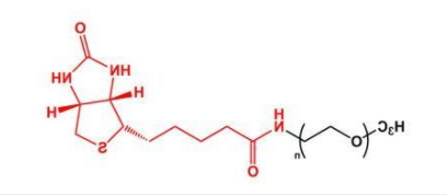 mPEG-Biotin；甲氧基聚乙二醇生物素；mPEG-BN