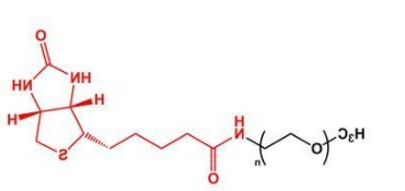 mPEG-Biotin；mPEG-BN甲氧基聚乙二醇生物素 