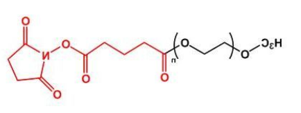 mPEG-SG，甲氧基聚乙二醇琥珀酰亚胺戊二酸酯，mPEG-Succinimidyl Glutarate ester