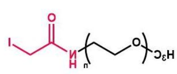 mPEG-IA，甲氧基聚乙二醇酰碘乙酰胺，mPEG-Iodine